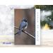 Christmas cards with original photography of a tufted titmouse and the greeting "Peace On Earth" available at www.covecreekphotography.com
